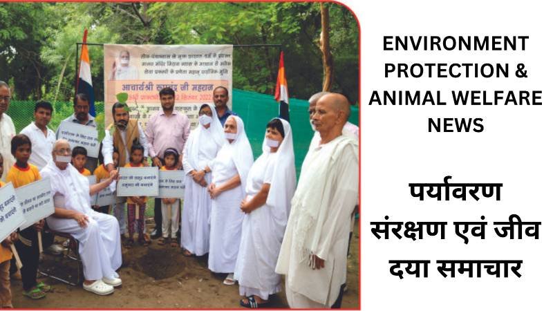 Environment Protection Animal Welfare News Category Banner 2