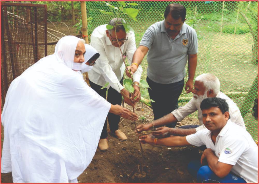 Environment Protection & Animal Welfare 1 3